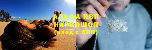 2c-b Новозыбков