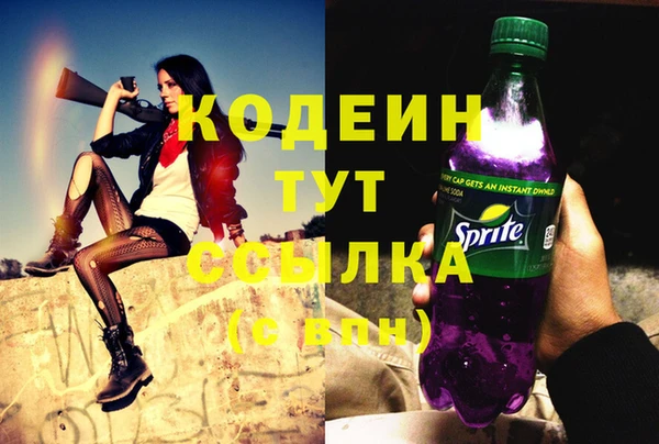 2c-b Новозыбков