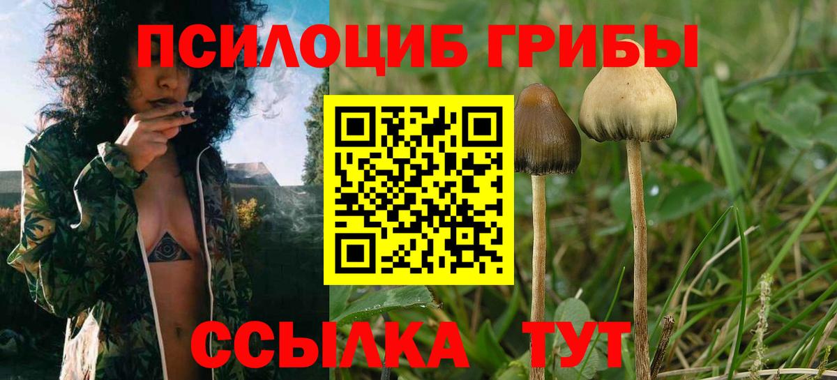 Псилоцибиновые грибы Psilocybe  Вход с VPN  Псилоцибиновые грибы Psilocybine cubensis  Нарьян-Мар 