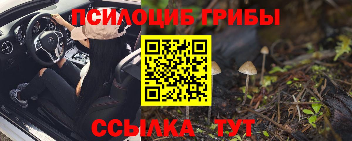 Псилоцибиновые грибы прущие грибы Нарьян-Мар