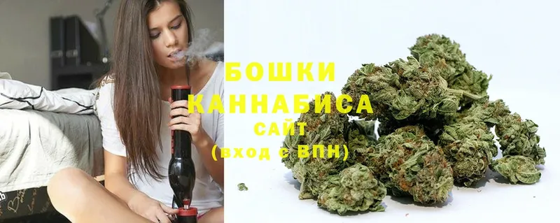 Бошки Шишки THC 21%  Нарьян-Мар 